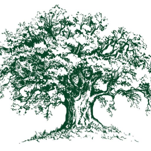 cropped-Frank-Smith-Logo-Tree.jpg Tree