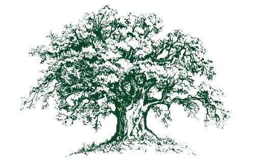 Frank-Smith-Logo-Tree Tree