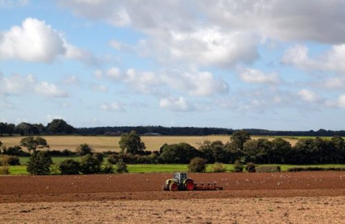 Farming / Agriculture