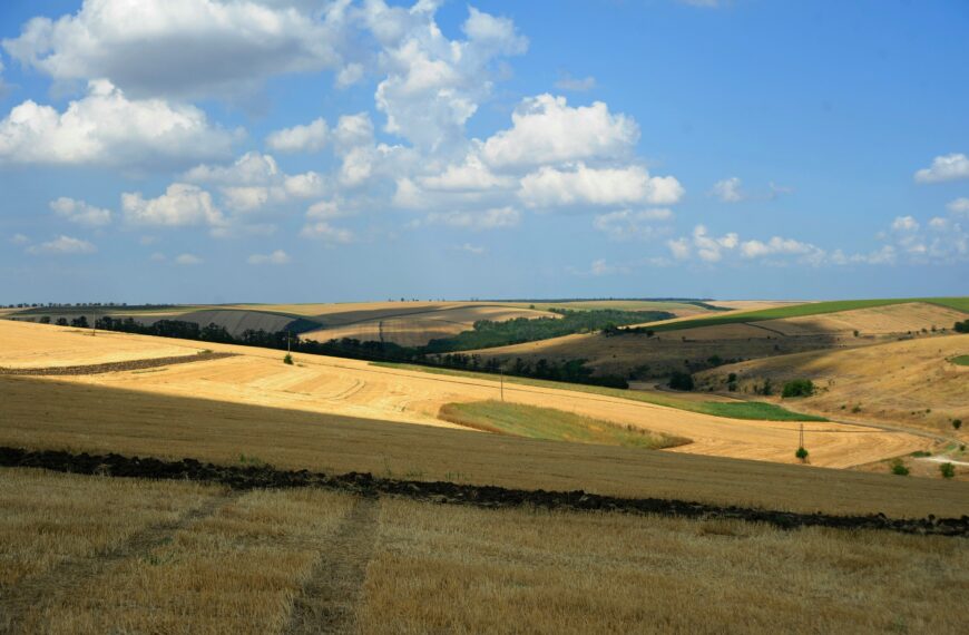 A New Horizon: What the Revised NPPF&hellip;