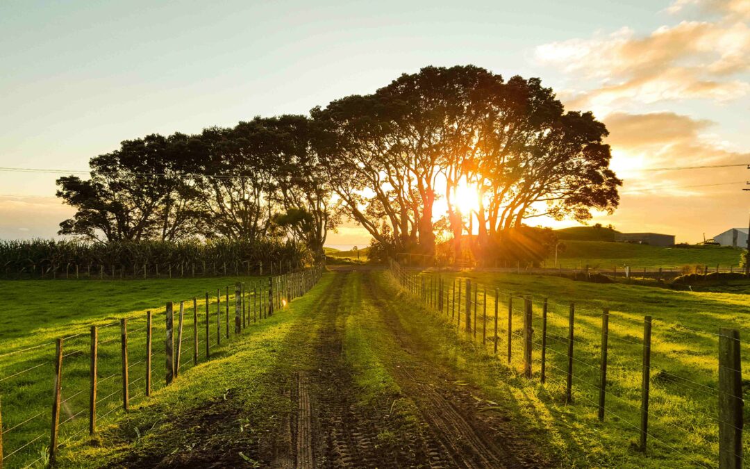 New Duties: Understanding the 2026 Non-Domestic Rates Changes