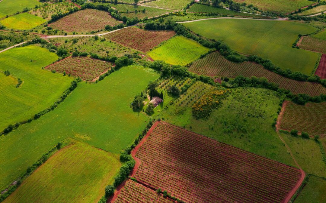 Ground Rules: The UK’s New Approach to Land Use Explained